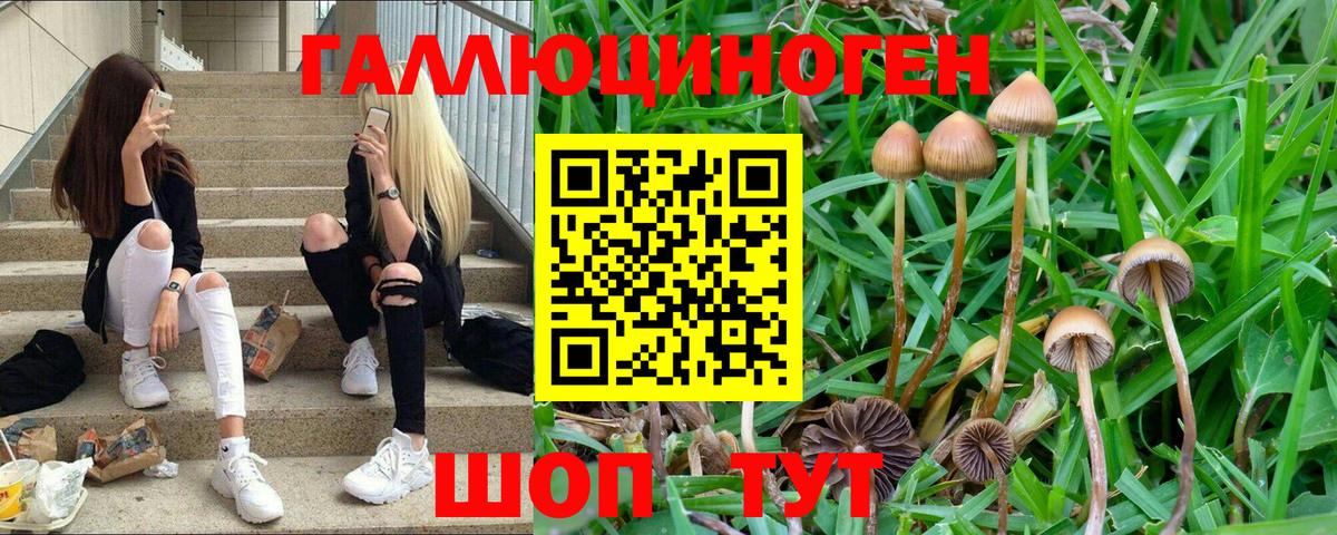Галлюциногенные грибы мицелий  Псилоцибиновые грибы ЛСД  Вход с VPN  Майский 
